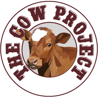 The Cow Project